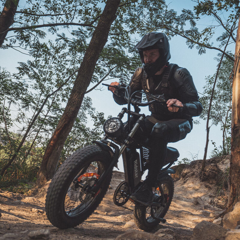Powerful 20 Fat Tire Electric Mountain Bike