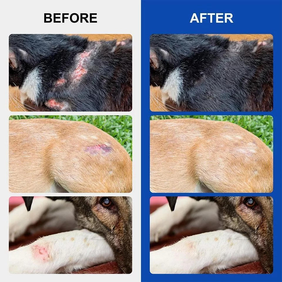 Fast Healing Dog Wound Care Spray