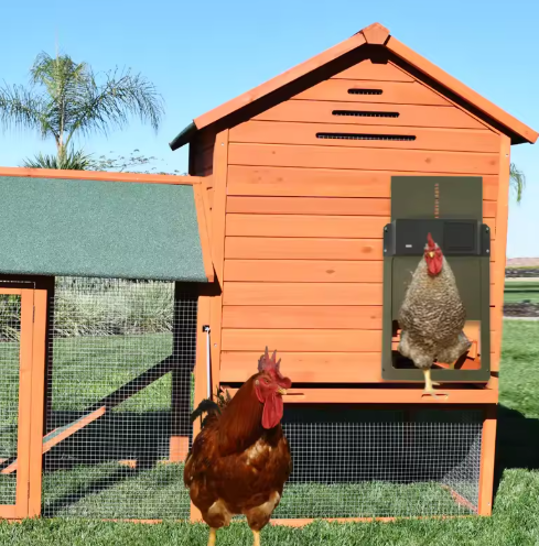 Auto Chicken Coop Door Opener with Timer and Sensor - Halri