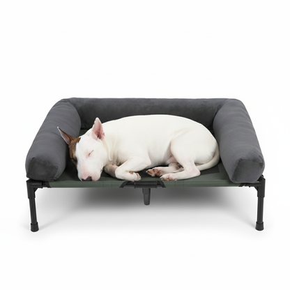 Orthopedic Elevated Dog Bed for Big Dogs