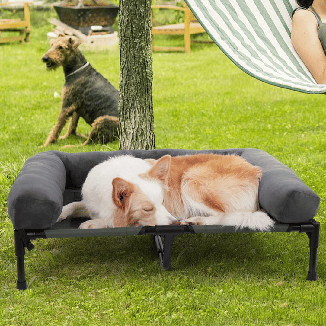 Orthopedic Elevated Dog Bed for Big Dogs
