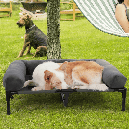 Orthopedic Elevated Dog Bed for Big Dogs