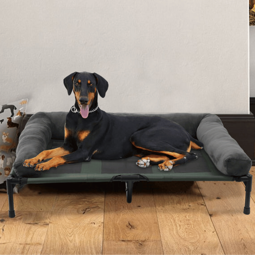 Orthopedic Elevated Dog Bed for Big Dogs