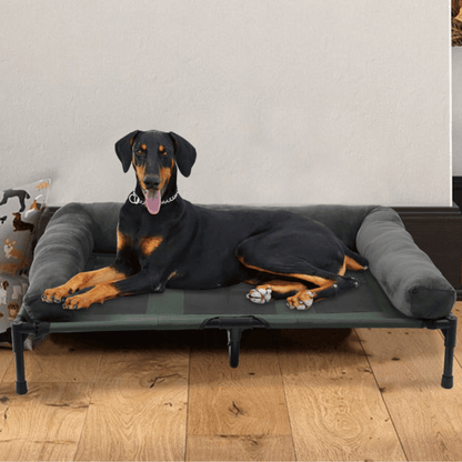 Orthopedic Elevated Dog Bed for Big Dogs