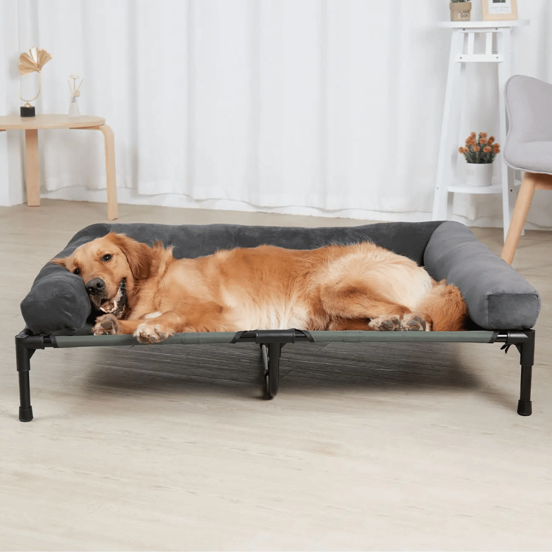 Orthopedic Elevated Dog Bed for Big Dogs